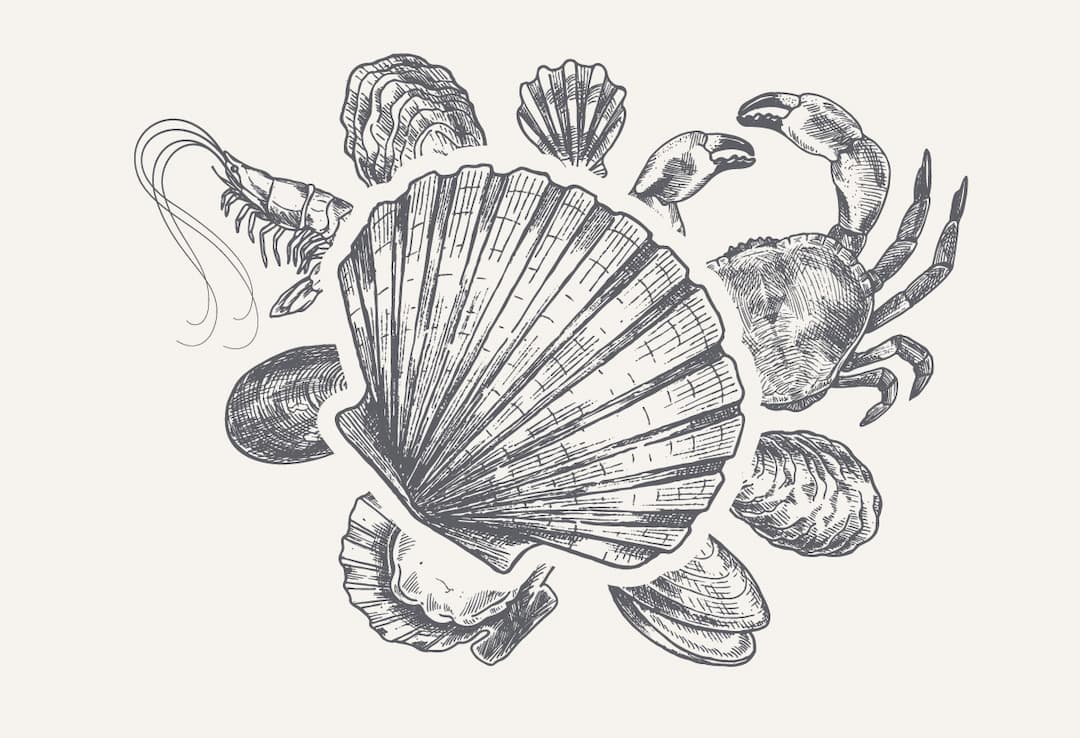 Brasoucade de moules