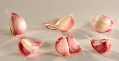 Ail rose