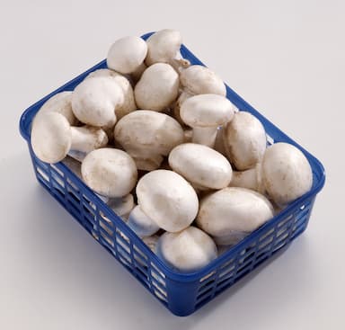 Barquette de champignons de Paris