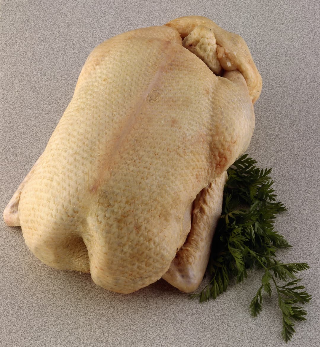 Canard cru prêt a cuire