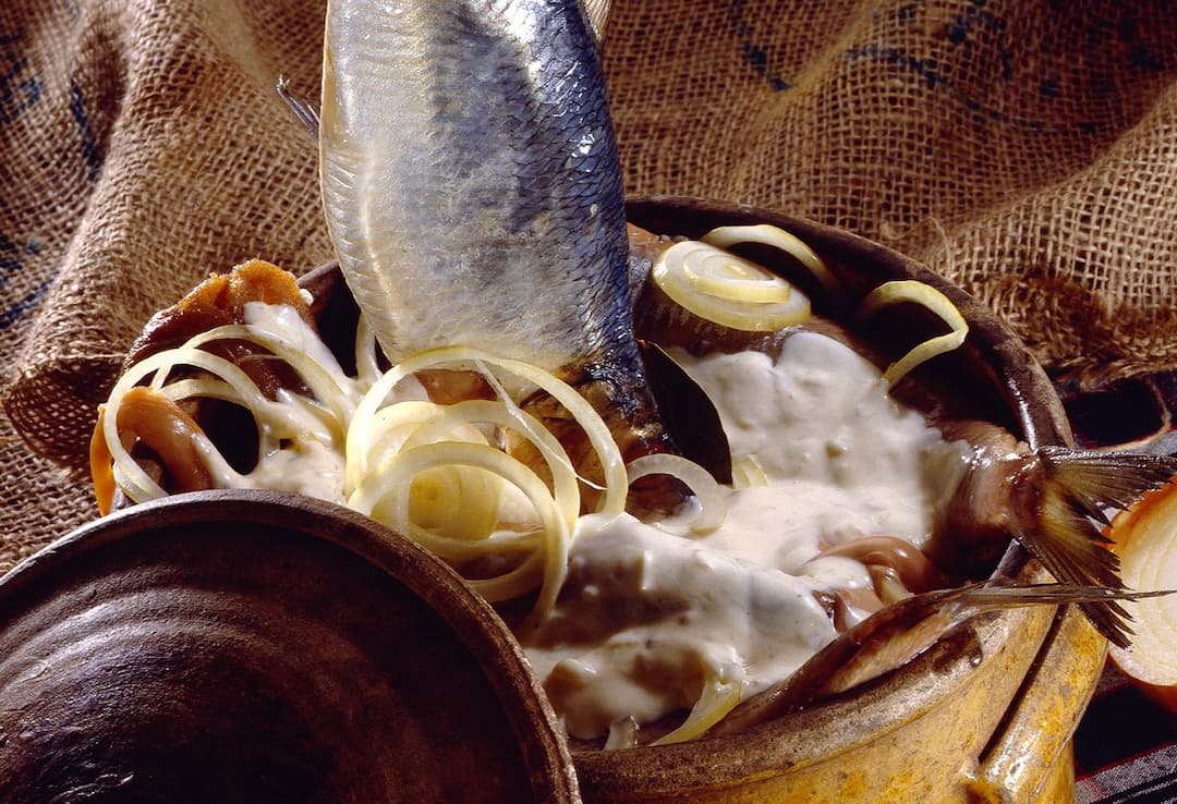 Harengs marinés à la crème