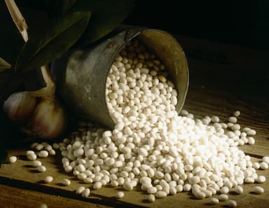 Haricots blancs de soisson