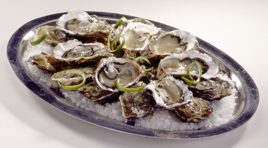 Huîtres fines d'Arcachon