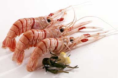 Langoustines crues
