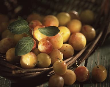 Mirabelles
