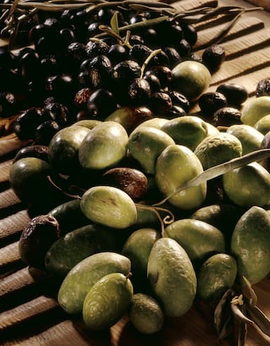 Olives vertes et noires