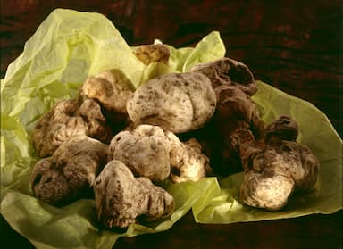 Truffes blanches