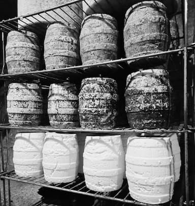 Fromage de brebis