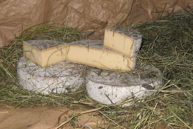 Tomme au foin