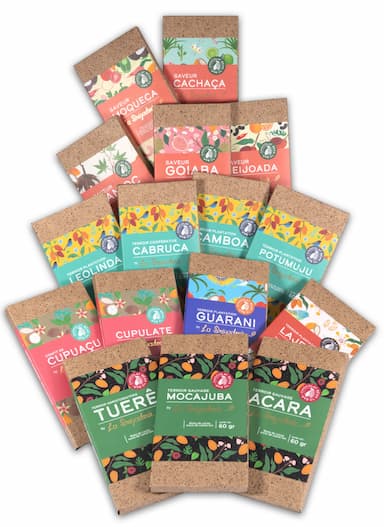 Chocolats bean to bar