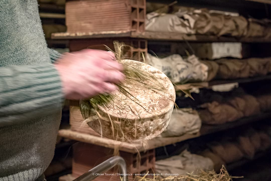 Tomme au foin