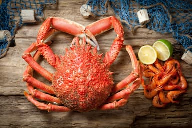 Araignée de mer