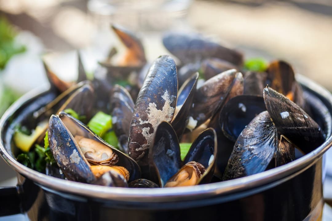 Moules de bouchot