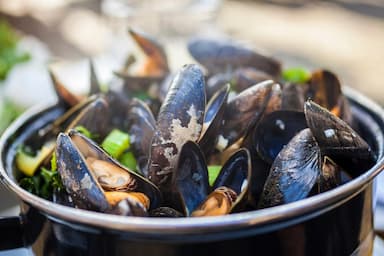 Moules de bouchot