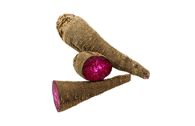 Betterave crapaudine