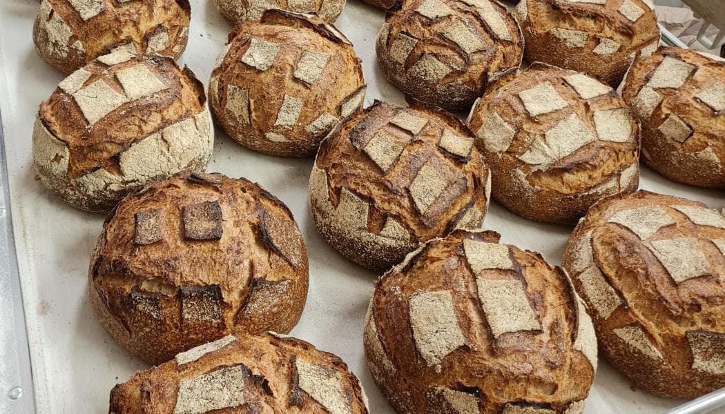 fournil malenais