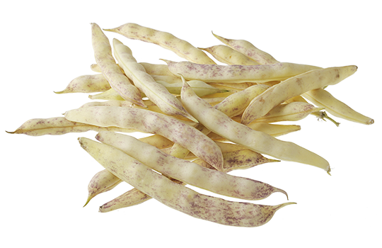 Haricot coco de Paimpol