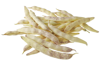 Haricot coco de Paimpol
