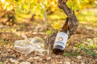 BRASSERIE DE CHABLIS