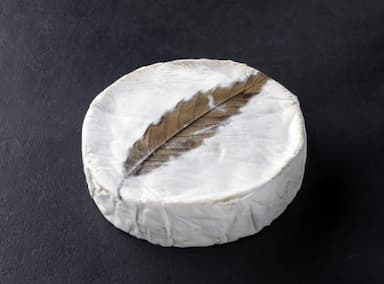 Feuille de Dreux