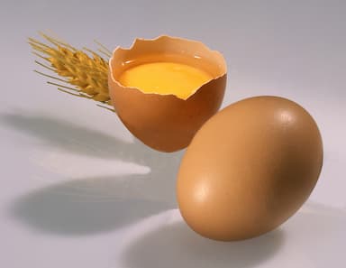 Oeufs