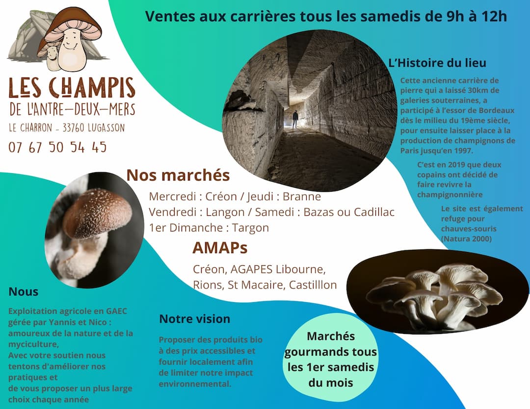 champis antre-deux-mers