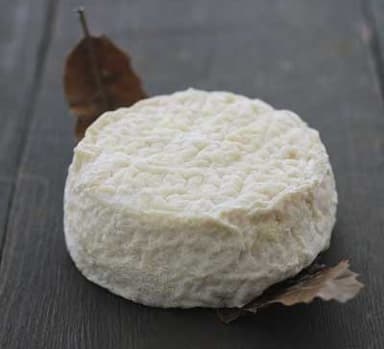 Mothais sur feuille