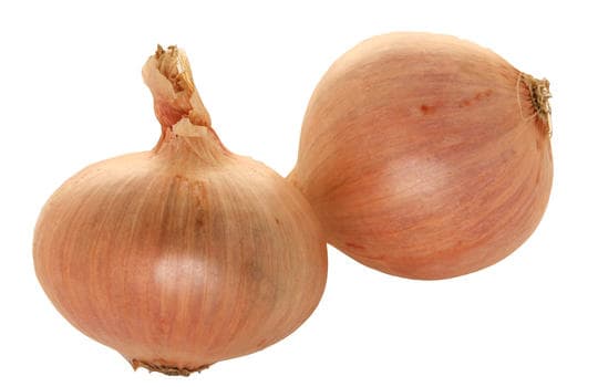Oignon rosé