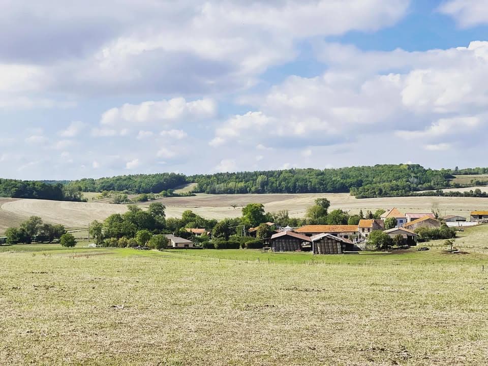 Paniers du Mont Joli
