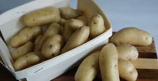 Pomme de terre de Picardie
