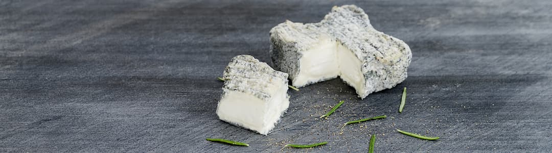 Trèfle du perche