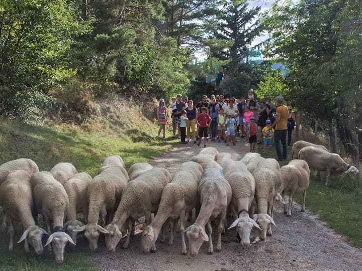 Visites de ferme