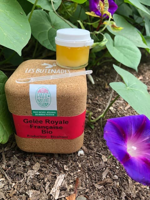 GELEE ROYALE BIO LES BUTINADES