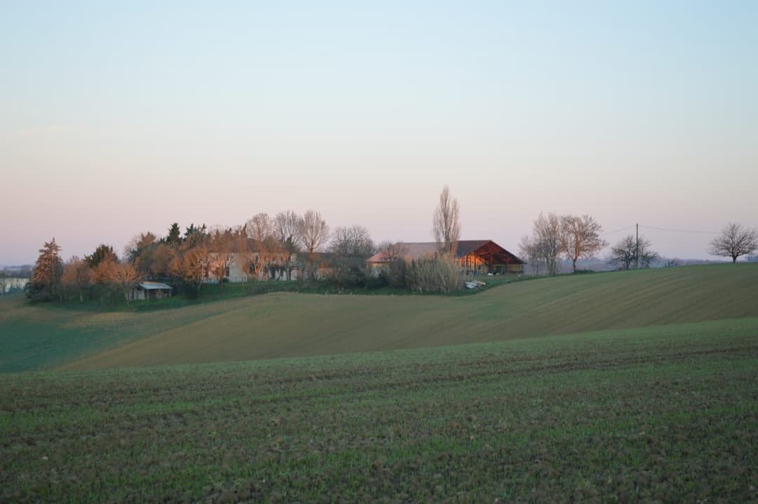 La ferme