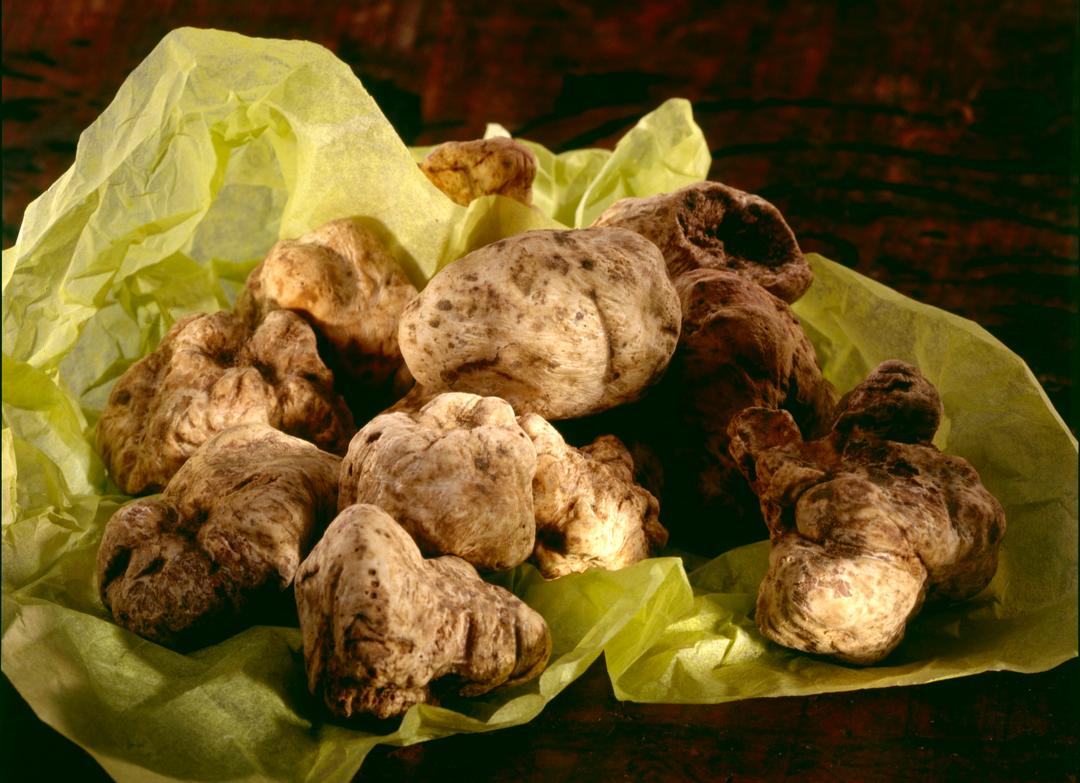 Truffes blanches