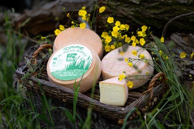 Tomme fermière au lait cru