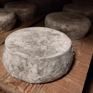 Tomme de chèvre