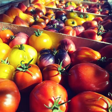 Variétés classiques et anciennes