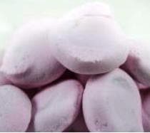 Nougatine de Poitiers