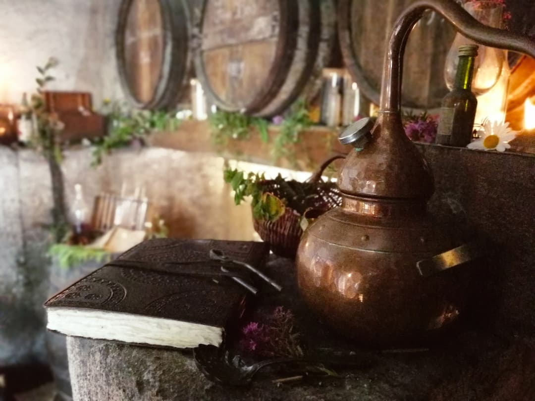 L'art de la distillation des esprits-de-plantes